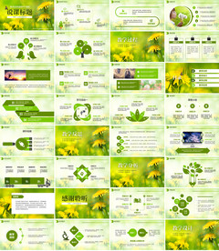 高档专业现代信息教学说课PPT