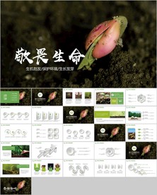 绿色植物发芽植物生长敬畏生命