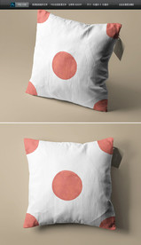 高档抱枕图案 轻奢北欧抱枕