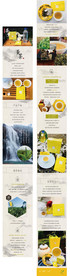 茶叶详情页