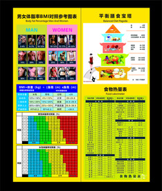 男女体脂对照表