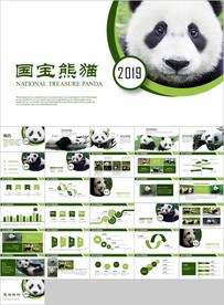 保护动物吃竹子国宝熊猫野生动物