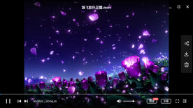 梦幻飘动紫色花瓣背景动态素材