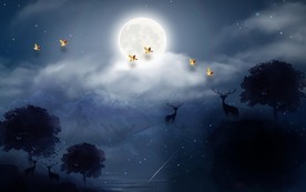 宁静致远夜景背景墙