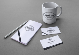 大气vi贴图标志效果图样机