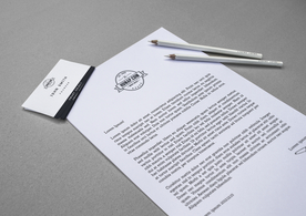 大气vi标志效果图