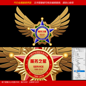 飞翔元素五角星金属徽章