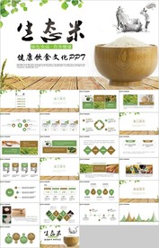 有机绿色稻田水稻大米农业丰收