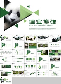 保护动物吃竹子国宝熊猫野生动物