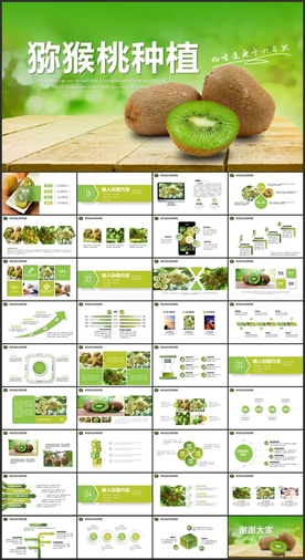 猕猴桃种植PPT