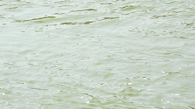 流动河水实拍视频