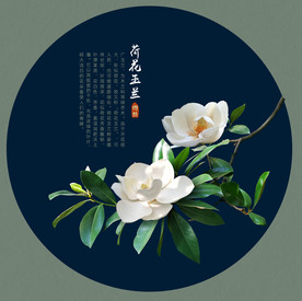 双子花图片大全 双子花设计素材 双子花模板下载 双子花图库 昵图网soso Nipic Com