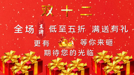 双十二狂欢购物节PR模板