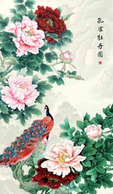 孔雀牡丹图