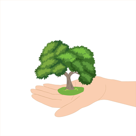 爱护环境矢量图，双手托捧着一棵