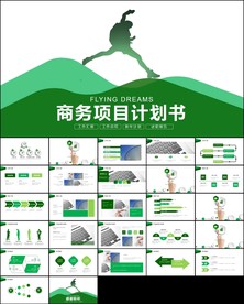 创业项目融资商业计划书ppt