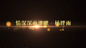 杨胖雨 - 情深深雨濛濛歌词