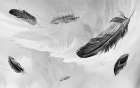 灰色羽毛装饰画 TIF分层