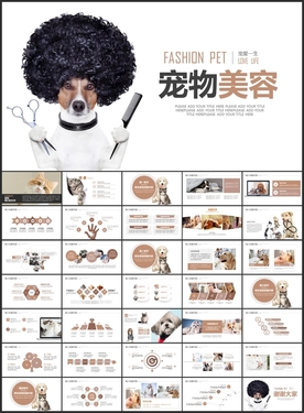 宠物美容宠物店PPT