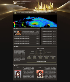 黑色严肃政府类质感网页ui设计