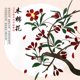 木棉花手绘装饰插画