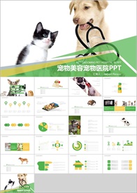 PPT 模板 PPT模板 商业