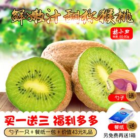 PSD分层弥猴桃高点击主图模版