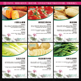 蔬菜系列展示