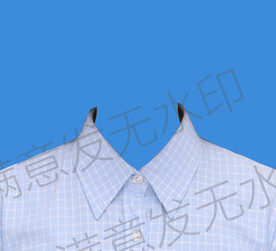 女生蓝色格子衬衫正装证件照模板