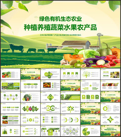 蔬菜水果生鲜食品PPT