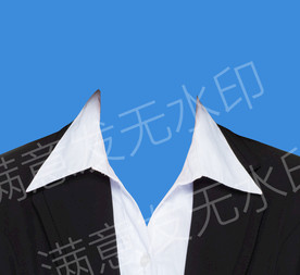 女性V领模板证件照高清