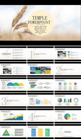 年度总结食品量PPT模板