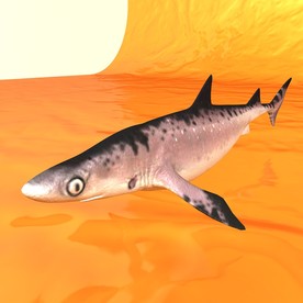 恐龙模型 动物模型 恐龙近景