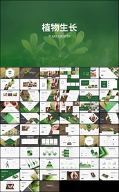 绿色唯美植物生长敬畏生命发芽