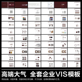 高端大气VI设计模板