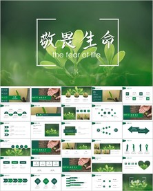 小树苗生长发芽成长春天ppt