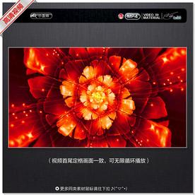 抽象牡丹花视频背景