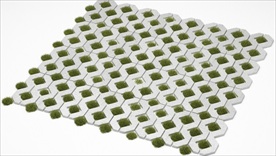 停车场的草地地砖