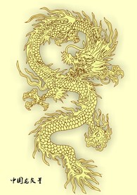 龙