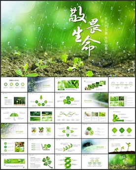 敬畏生命生长PPT