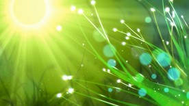 阳光绿色清新春天背景