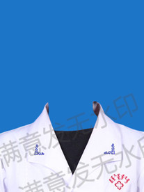 医生白大褂证件照衣服模板