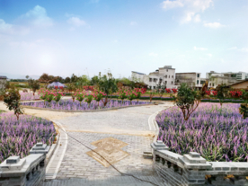 吉祥草景观设计效果图