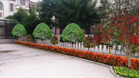 别墅庭院绿化景观设计效果图