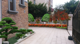 别墅庭院绿化景观效果图