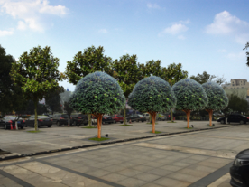 桂花广场设计效果图