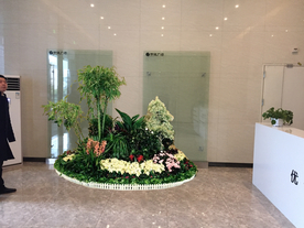 花卉租摆景观设计效果图