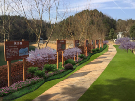 绿化景观设计效果图