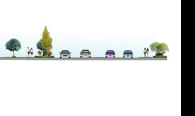 道路绿化剖面景观效果图