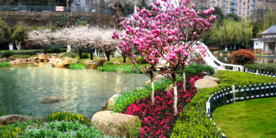 池塘景观效果图